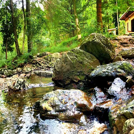 Vintage In A Very Beautiful Landscape *