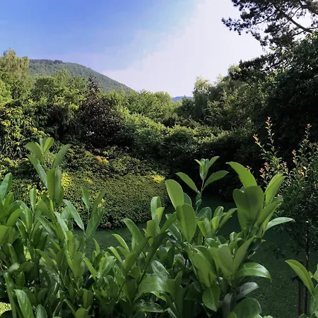 Vintage In A Very Beautiful Landscape シャレー エワイユ