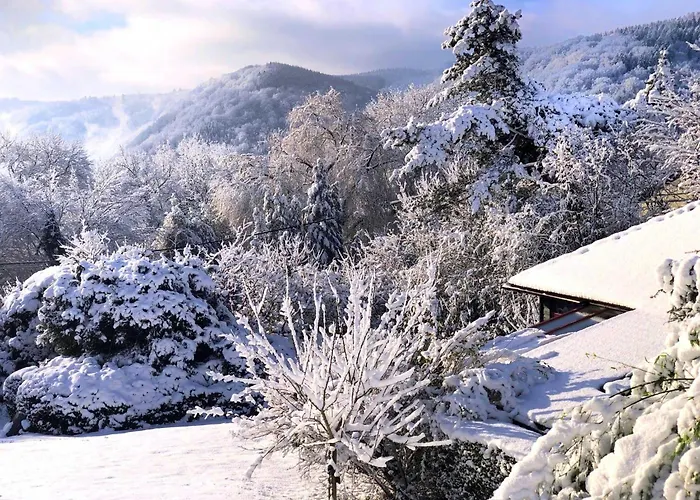 Chalet Vintage In A Very Beautiful Landscape Aywaille